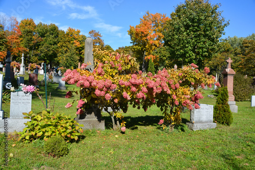 The Saint John Anglican Church church was donated by Captain John Savage, he and his wife Ann are both buried in the Saint John Cemetery.