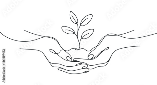 Hands cradling a small plant sprout representing growth care and environmental stewardship