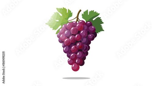 A delightful, richly illustrated cluster of ripe purple grapes with vibrant green leaves and a subtle shadow, symbolizing health, freshness, and