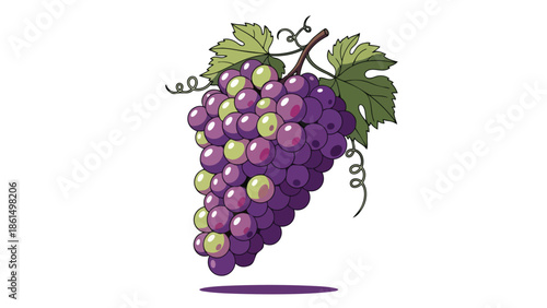 A vibrant illustration of a bountiful purple and green grape cluster adorned with fresh foliage and delicate tendrils capturing the essence of