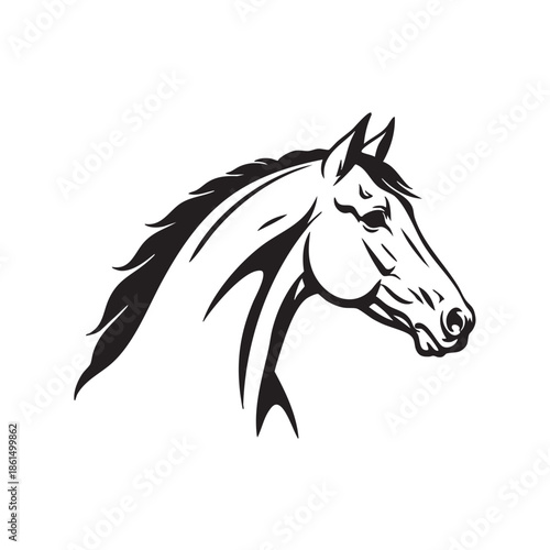 horse vector illustration