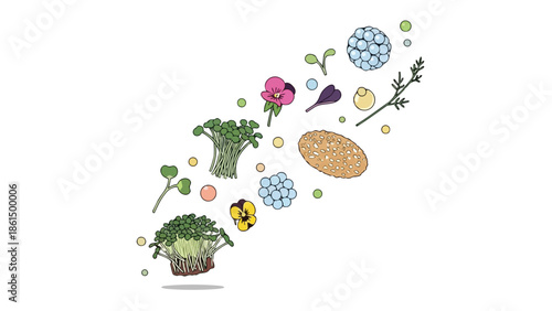 A fresh and artful ensemble of diverse organic culinary components, featuring lush microgreens, delicate blossoms, wholesome grains, and colorful