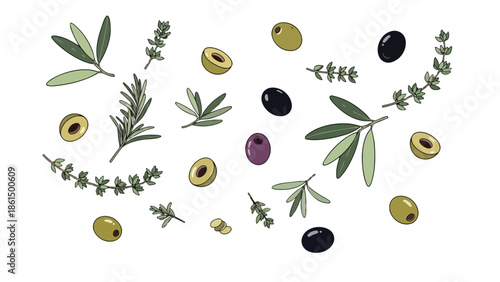 Artistic pattern of green, black, and purple olives with fresh rosemary, thyme, and olive leaves, creating a vibrant Mediterranean food background.