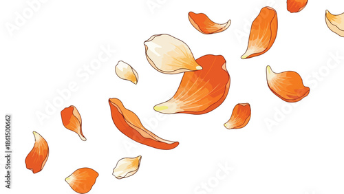 Delicate orange and cream petals softly descend, creating a gentle floral cascade background