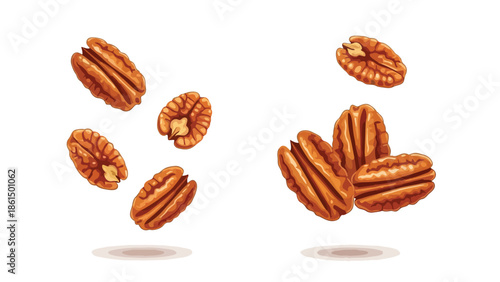 Vector art showing shelled pecan halves, highlighting brown color, intricate textures. Good for healthy food, baking, snacks, ingredient visuals.