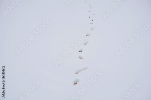 Footprints in Fresh Snow - Winter Journey
