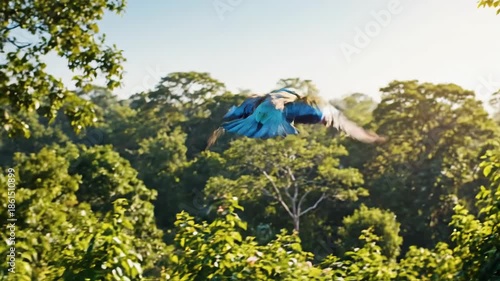 Blue bird in flight, lush greenery