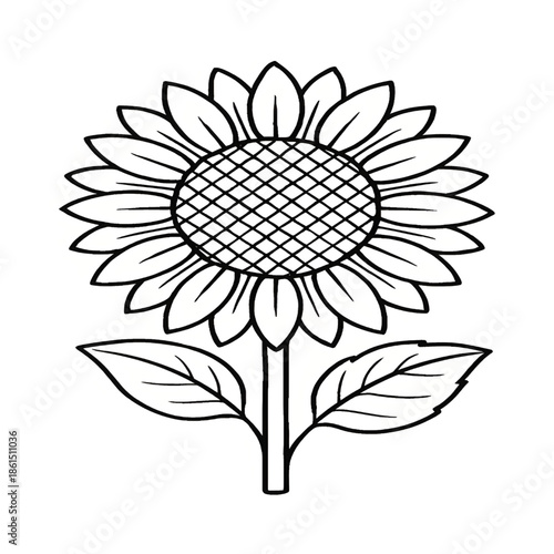 Sunflower Coloring Page Printable of Vactor 