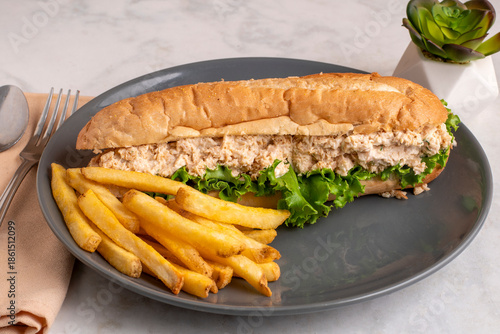 chicken salad sub  with  a side of fries