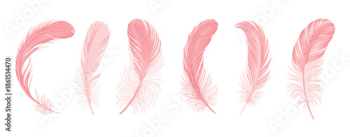 Soft pink feather illustration set featuring delicate hand drawn plumage elements, perfect for wedding invitations, boho branding, beauty packaging, feminine designs, and elegant decorative projects