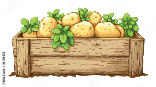 Vibrant Cartoon Style Banner Ad with Fresh Potatoes in Wooden Box