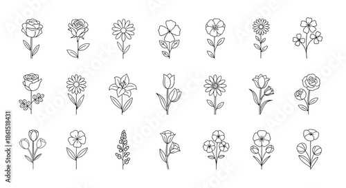 Collection of various flower line art illustrations isolated on, perfect for botanical designs and minimalist aesthetics