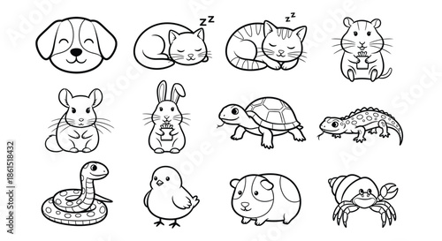 Collection of adorable pet line art illustrations isolated on, perfect for childrens books and cute animalthemed designs