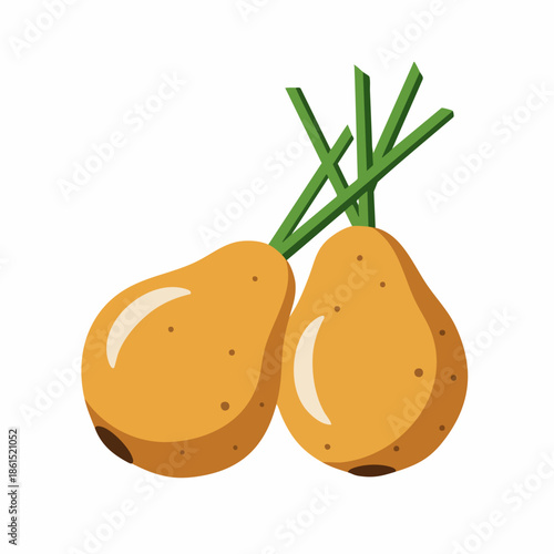 Flat Cartoonish Duo Potatoes Culinary Ingredient Healthy Food Illustration