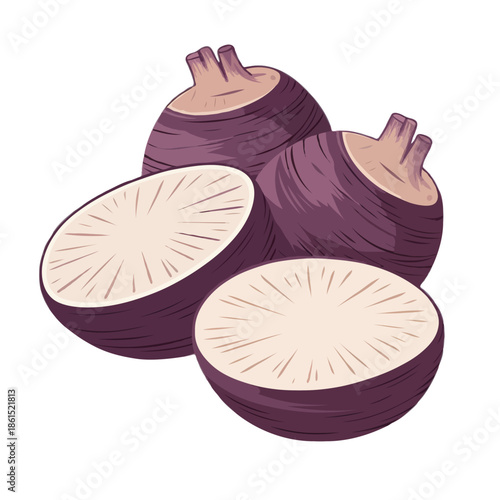 Freshly harvested purple potatoes isolated on white background, Vector