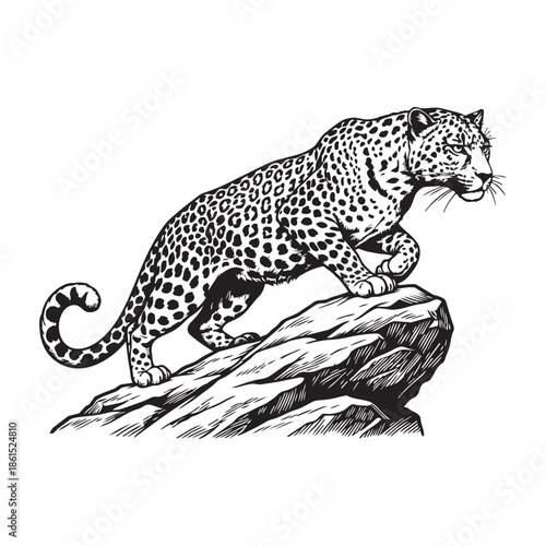 A striking illustration of a leopard in a minimalist grayscale silhouette