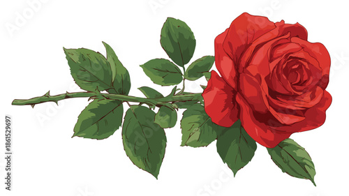 Vibrant Red Rose with Green Leaves and Stem Vector Illustration