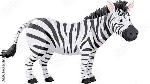 Cute Cartoon Zebra on White Background Vector with Outline