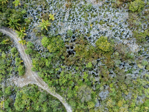 Makatea Island – Rugged Raised Atoll of French Polynesia