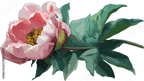 Vibrant Peony with Green Leaves Vector Illustration