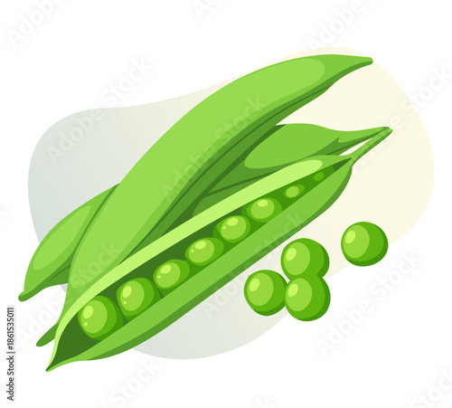 Fresh Green Peas Pod - Stock Illustration