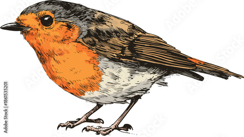 Vintage Freehand Robin Cartoon Illustration Vector for Creative Designs