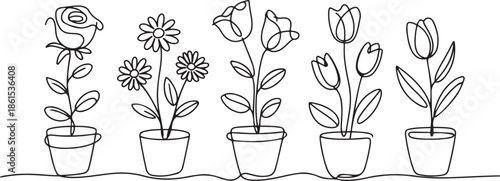 Set of continuous one line drawing of a flowers in a pots. Beautiful flowers isolated on a white background. one line Art icon drawing