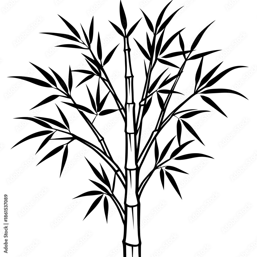 Obraz premium Minimal Bamboo Tree Vector
