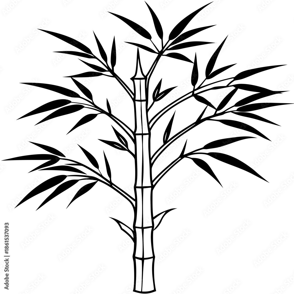 Obraz premium Minimal Bamboo Tree Vector