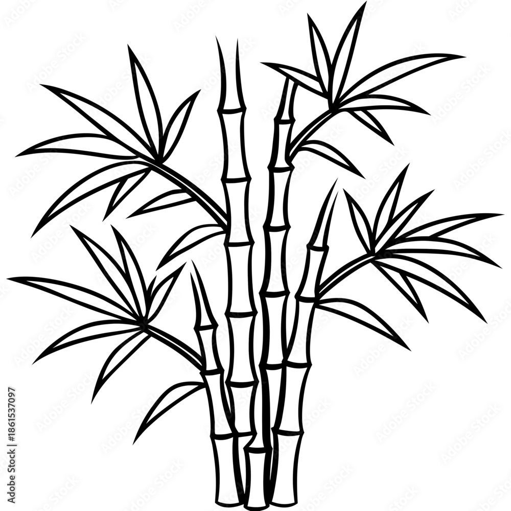 Fototapeta premium Minimal Bamboo Tree Vector