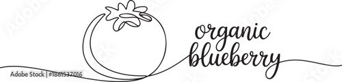 One line drawing art illustration with lettering organic blueberry. one line Art icon drawing