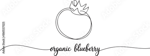 One line drawing art illustration with lettering organic blueberry. one line Art icon drawing