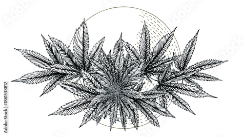 Circular Marijuana Leaf Pattern Poster Design for Cannabis Enthusiasts