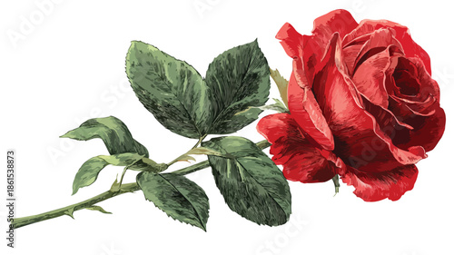 Vibrant Red Rose with Green Leaves and Stem Vector Illustration