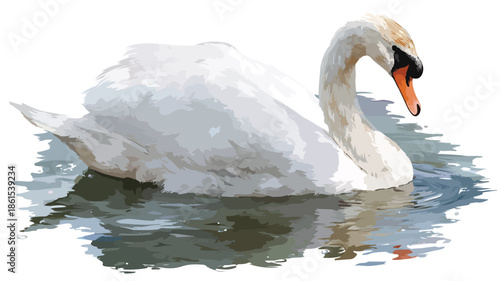 Majestic White Swan with Black Beak Swimming in Water Vector Illustration