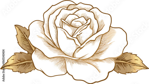 Elegant Rose Flower Icon Vector Illustration Clipart