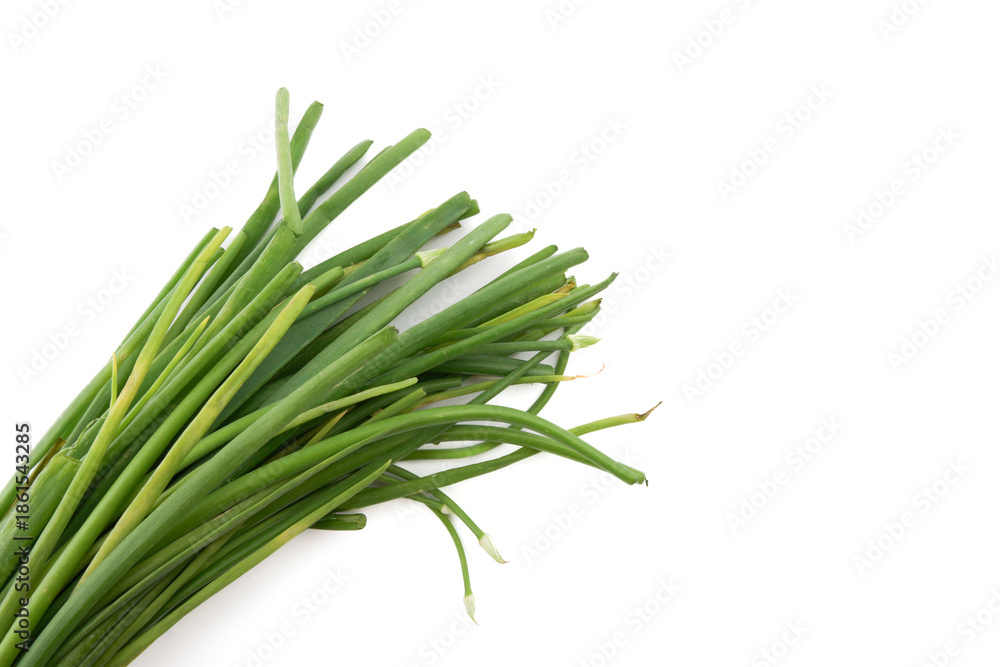 Fototapeta premium Fresh garlic chives bundled with paper wrap isolated on white background representing organic vegetables, healthy cooking ingredient, and natural produce in clean minimal presentation.