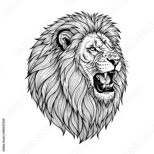 Lion Head Illustration with Open Mouth.