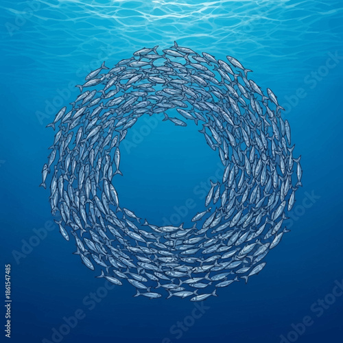 School of Fish Swimming in Circle Underwater.