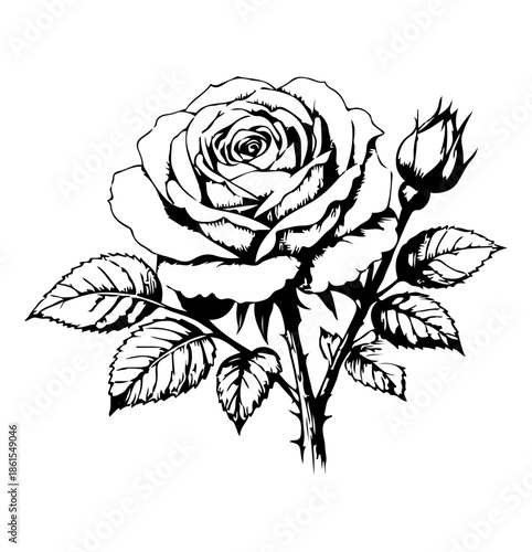 Black and White Rose Illustration with Bud, Leaves and Stem