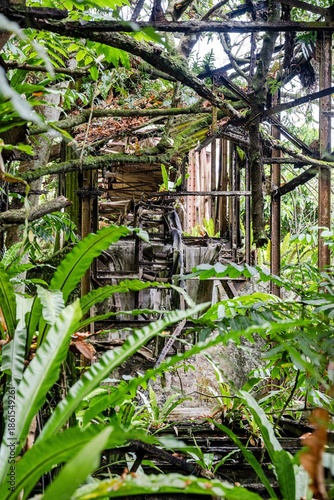 Vertical Wilderness of Makatea