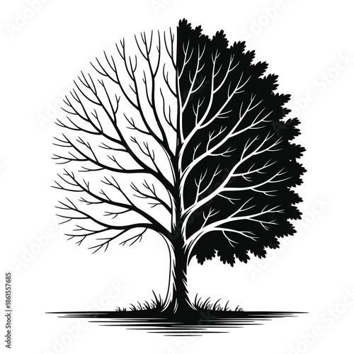vector illustration of a tree