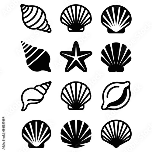 set of seashells