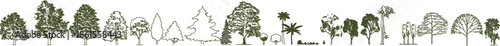 Vector line art collection of various tree species. Features minimalist sketches of deciduous, evergreen, and palm trees for landscape architecture.