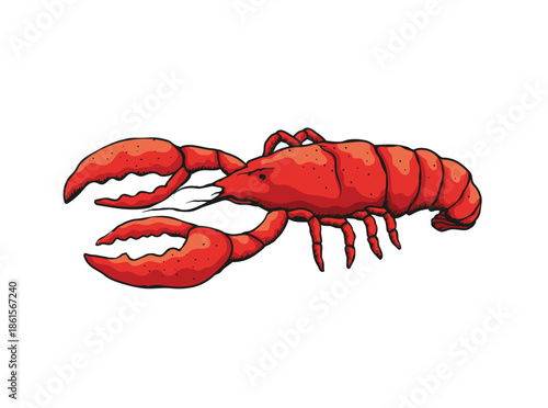 Vector illustration of a lobster