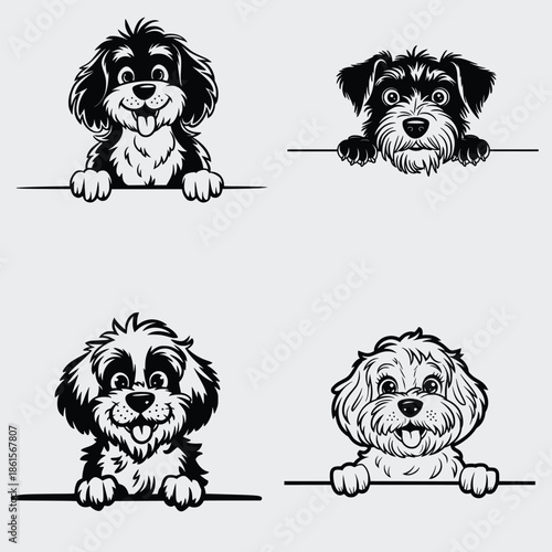 Cavapoo Peeking Dog SVG Bundle, Dog SVG, Pet SVG, Animals SVG, Peeking Dog SVG, Funny Dog SVG, Vector, Silhouette, Cavapoo Dog SVG