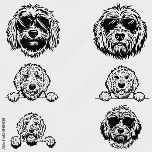 Cavapoo Peeking Dog SVG Bundle, Dog SVG, Pet SVG, Animals SVG, Peeking Dog SVG, Funny Dog SVG, Vector, Silhouette, Cavapoo Dog SVG