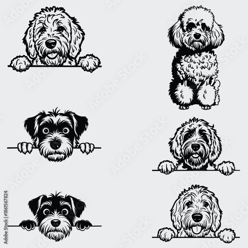 Cavapoo Peeking Dog SVG Bundle, Dog SVG, Pet SVG, Animals SVG, Peeking Dog SVG, Funny Dog SVG, Vector, Silhouette, Cavapoo Dog SVG