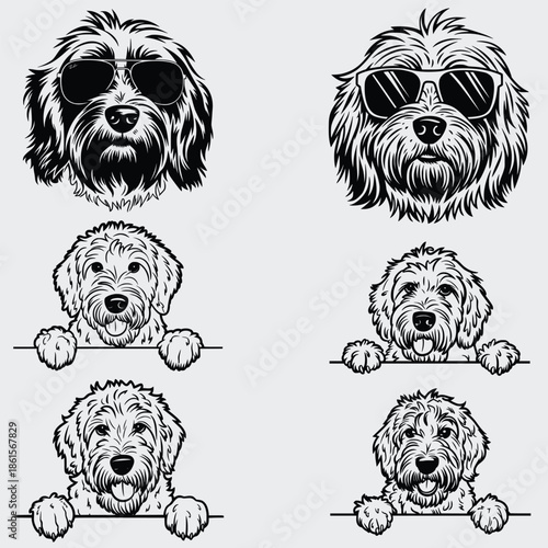 Cavapoo Peeking Dog SVG Bundle, Dog SVG, Pet SVG, Animals SVG, Peeking Dog SVG, Funny Dog SVG, Vector, Silhouette, Cavapoo Dog SVG