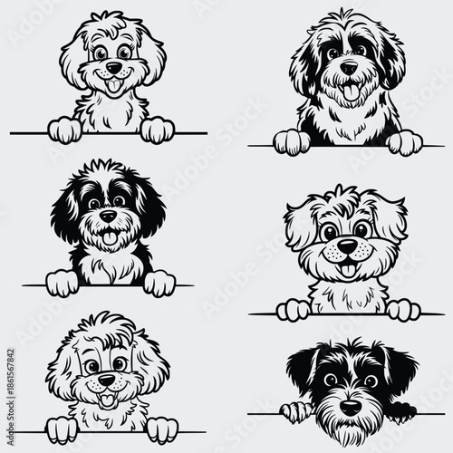 Cavapoo Peeking Dog SVG Bundle, Dog SVG, Pet SVG, Animals SVG, Peeking Dog SVG, Funny Dog SVG, Vector, Silhouette, Cavapoo Dog SVG